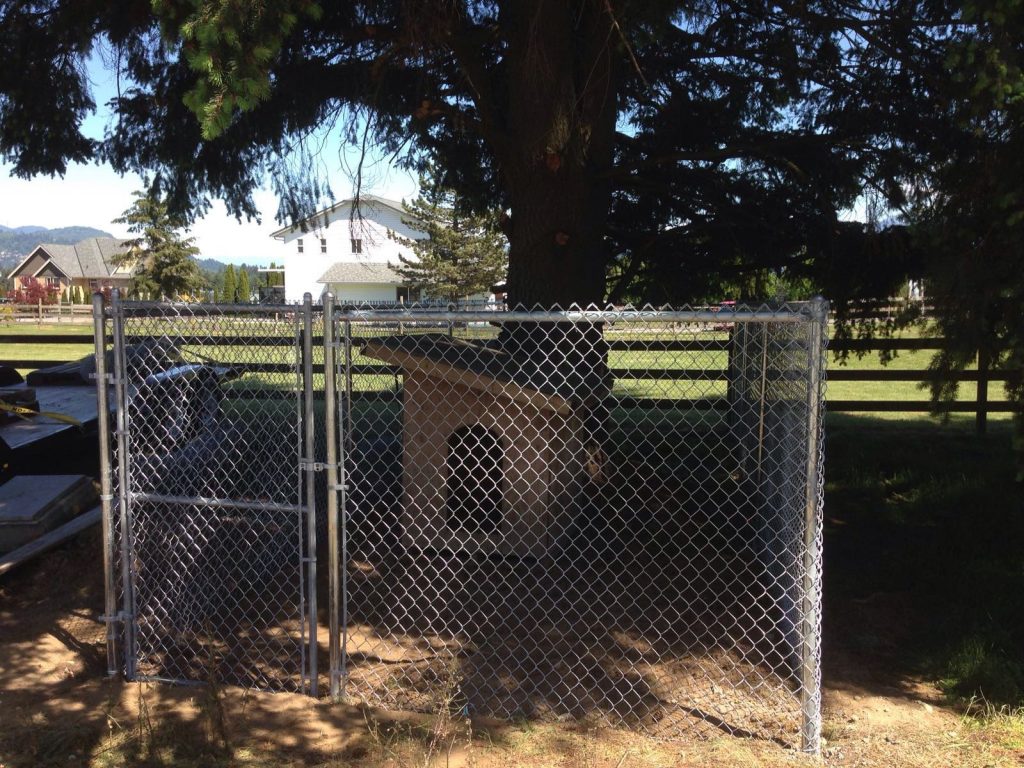 Chain-Link Dog Kennel