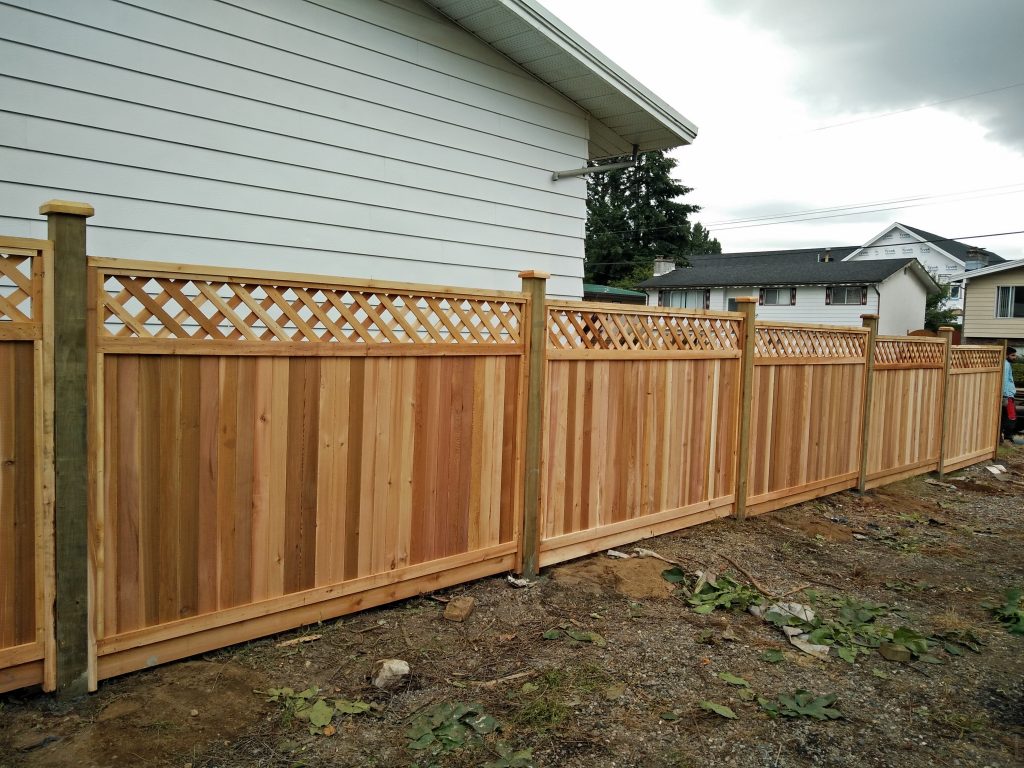 Lattice Cedar